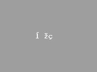 世俱杯押注app